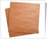 Bingtangor Plywood