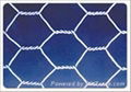 Hexagonal Wire Netting 