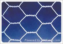 Hexagonal Wire Netting 