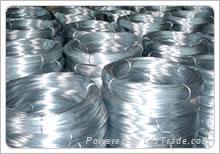 Galvanized Wire 