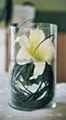 Glass vase for decoration 3