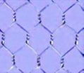 hexagonal wire netting