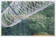 razor barbed wire 2