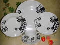 20pcs dinner set  5