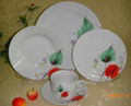 20pcs dinner set  1