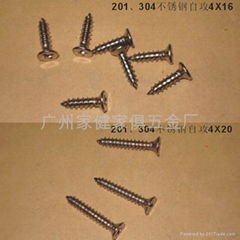 Stainless Steel Screws