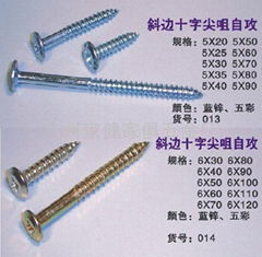 Self-tapping Screws 