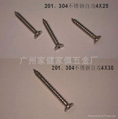 Stainless Steel Screws