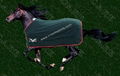 horse rug 1