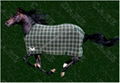 horse blanket 1