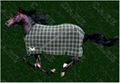 horse blanket