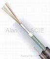 Optical Fiber Cable GYXTC8S 1