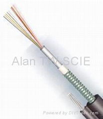 Optical Fiber Cable GYXTC8S