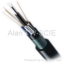 Optical Fiber Cable GYTY53