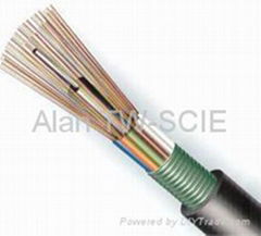 Optical Fiber Cable GYTS