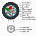 Optical Fiber Cable GYTS 2