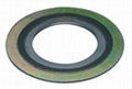 Graphite Spiral Wound Gasket