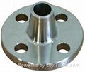 Flange / steel flange 2