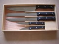 5pcs knife with wooden case 1