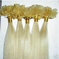 Pre-bonded hair extension 1