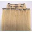 Clip in hair extension 1