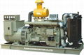 Styer Generator Set