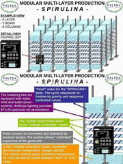 Spirulina - Modular Multi-Layer