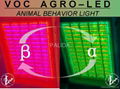 AGRO-LED 2D-panel - animal behavior lighting 1