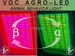 AGRO-LED 2D-panel - animal behavior lighting