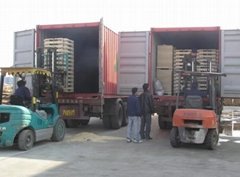Container Loading Check (CLC)