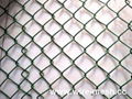 chain link fence (Jessie