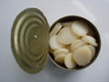 canned water chestnut