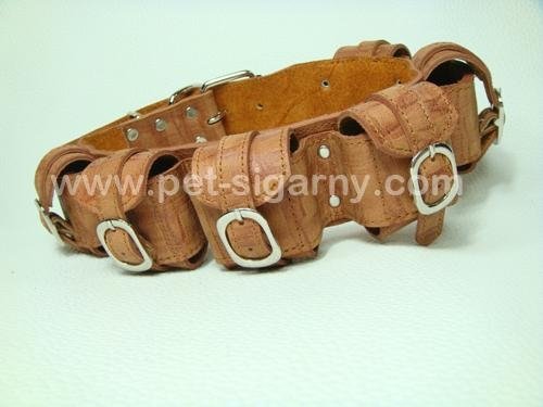 Weighted dog collar 2