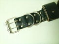 Weighted dog collar 4