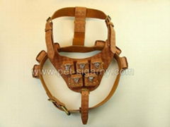 leather harness