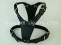 leather harness