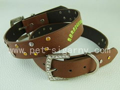 customized dog collars