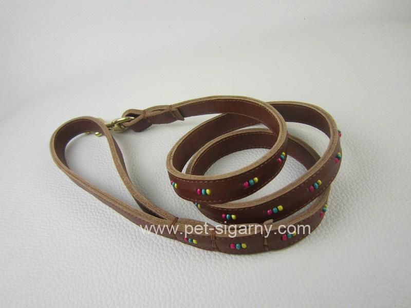 stylish pet leash