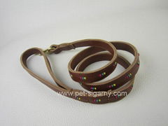 stylish pet leash