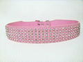  rhinestone dog collars  5