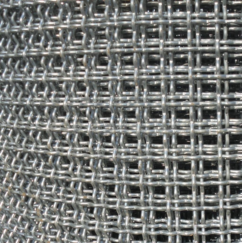 crimped wire mesh 5