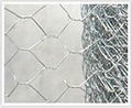 hexagonal wire mesh 3