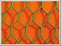 hexagonal wire mesh 1