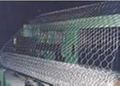 hexagonal wire mesh 3