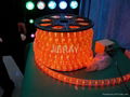  LED Rope Lights (CE, GS, BS,RoHS ) 1