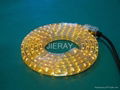  LED Rope Lights (CE, GS, BS,RoHS ) 1