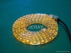  LED Rope Lights (CE, GS, BS,RoHS )