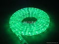  LED Rope Lights (CE, GS, RoHS ) 1