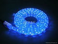 LED Rope Lights (CE, GS, RoHS )