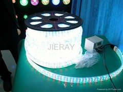  LED Rope Lights (CE, GS, RoHS )
